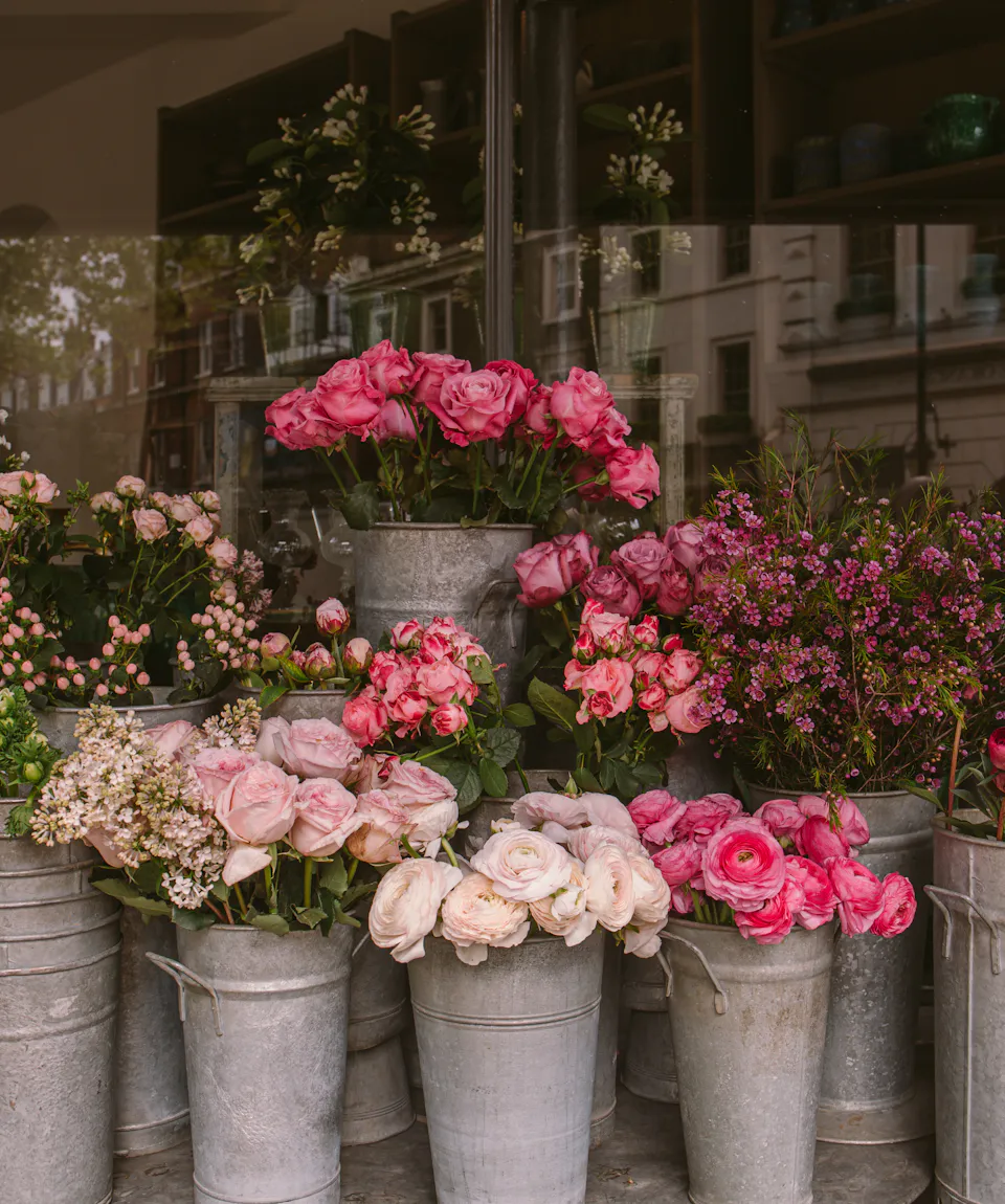 newcastle flower store newcastle flower store